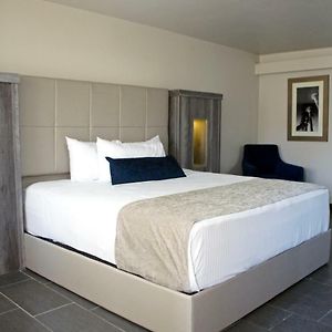 Habitación Premier con Cama King